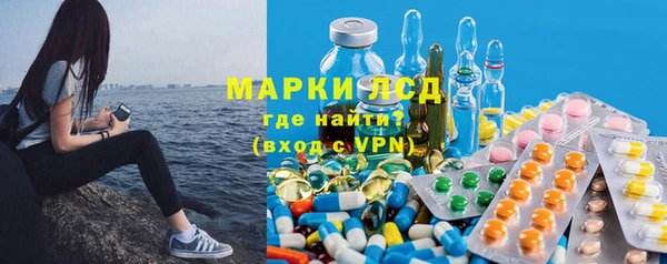 apvp Алзамай